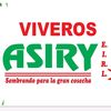 viverosasiry