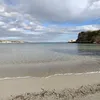 viv_384