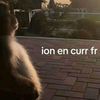 yaya_dogem
