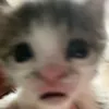 jecaa_jana123