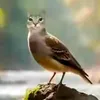 katenok.e
