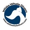 white.whale.divers