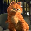 officialgarfieldthecatt