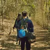 silvax_henrique