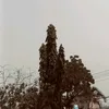 mvrtinaise