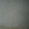 danz.shopp1