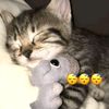 nishaa4_