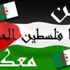 khaledbenouali