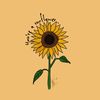 sunshub5