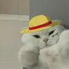 davidsrg24