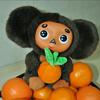 cheburashka7775