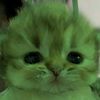 monna_l0l