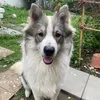 elleeeeeee36