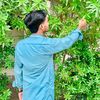 subhanalishafiq