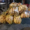 cham_voi