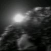 anasmahdy88