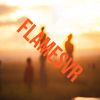 flamesvr17