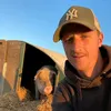 🐷 UkPigTok 🐷