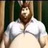 bosskakashka.24
