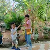 dunghuynh6265
