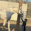 kenia_a777