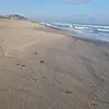 hz.dz6