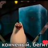 nik_ks_oficial