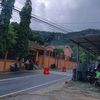 alannub22