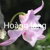 68hoanglong