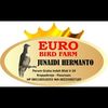 eurobf
