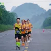 thanhloha