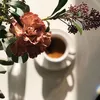 dghkg7