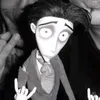 foka_na_drzewie