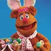 fozzy_78