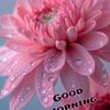 user1801550034288