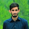 malikzainawan1100