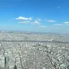 mmplsc