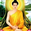 giatinh79