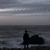 dycagespgx29