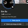 em_su.su