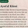 layn8830