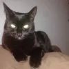 ladydoodah6