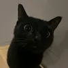 ni._noixn