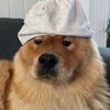 neofossen