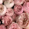 user.270284