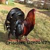 criadero__gonzalez