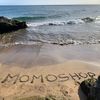 momoshop7