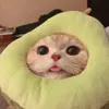 miojinho_59d