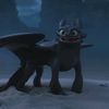 toothless7974