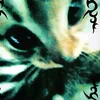 lola_b19